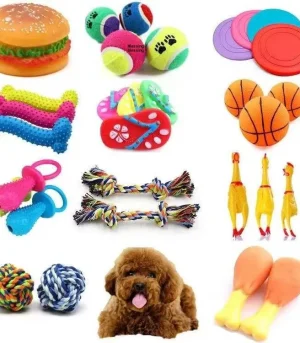 Durable Dog Chew Rope Toy, TPR Rubber Puppy Molar Toy, Bite Resistant Interactive Pet Toy for Puppy Boredom Relief