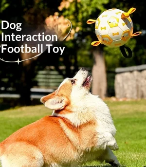 Outdoor Interactive Football Toy for Dogs Pet Dog Training Toy Ball Chew-Resistant and Self-Entertaining Model