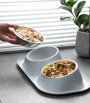 Stainless Steel Double Dog Bowls, Removable Cat Food Water Bowls with Anti-Slip Rubber Mat, Neck Protection Pet Bowls