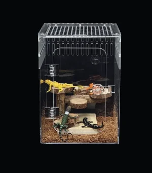 Vertical Acrylic Reptile Enclosure Transparent Clear Breeding Box for Beetle Lizard Horned Frog Arboreal Pet Habitat
