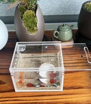 Transparent Small Acrylic Rectangle Insect Breeding Reptile Feeding Box Waterproof Enclosed
