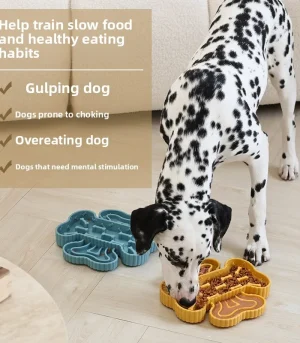 Dog Feeding Bowl with Suction Cup Anti-Choking Slow-Eating Training Lick Bowl Dry and Wet Separation