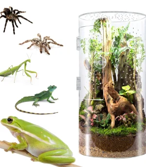6*6*12 Inches Eco-Friendly Reptile Cage Lid Transparent Acrylic Arboreal Tarantula Spider Enclosure Display Case