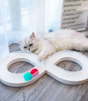 Interactive 8-Shaped Track Curved with rolling balls attracts cats attention satisfying their chasing and hunting instincts