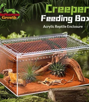 Acrylic Reptile Terrarium High Transparent Anti-Fall Breeding Box for Lizard Gecko Spider Hermit Crab