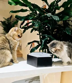Interactive Cat Water Droplet Toy, Remote Control Self-Hydrating Cat Dripping Fountain Toy for Boredom Relief